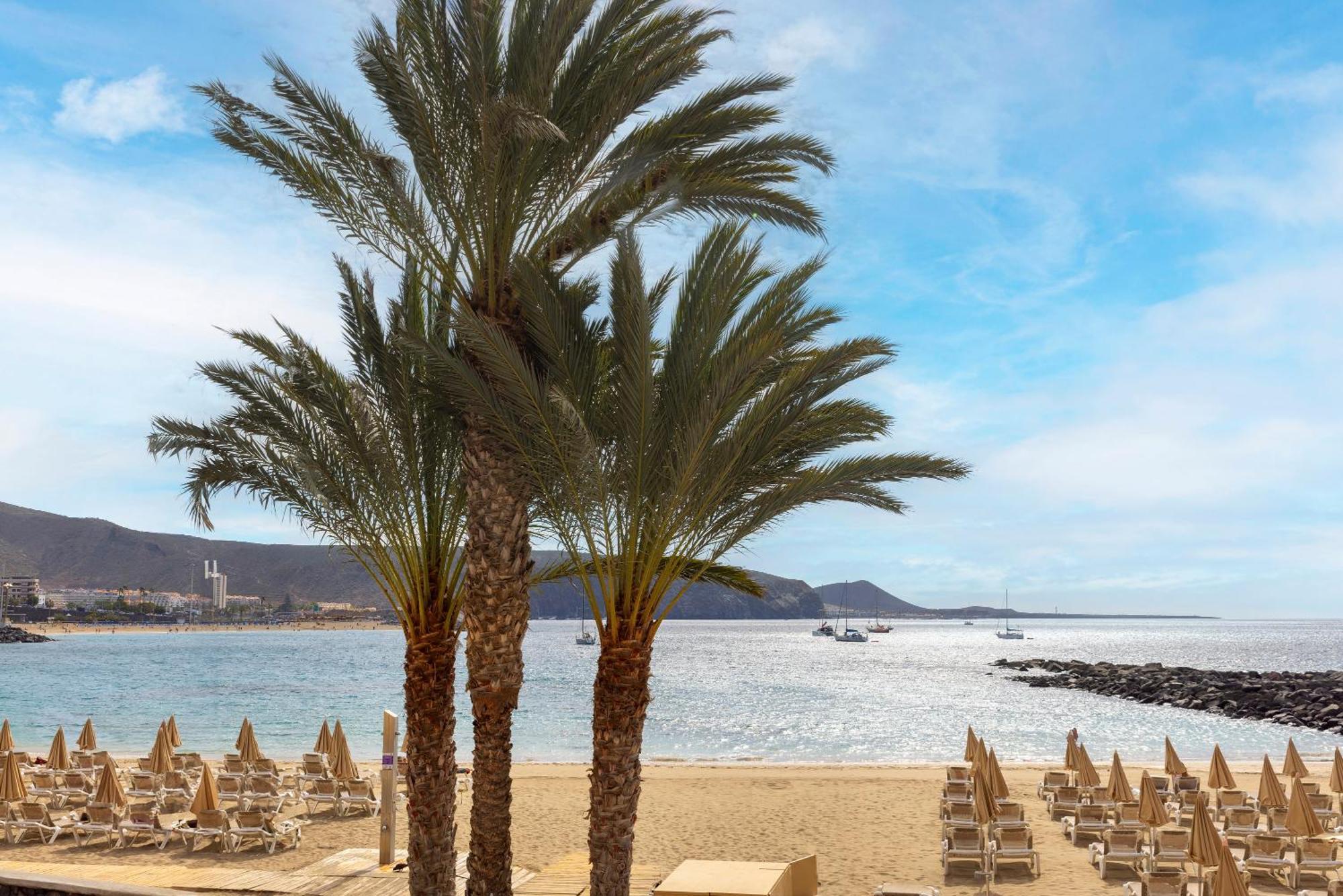 Whala!Tenerife Playa de las Americas  Esterno foto